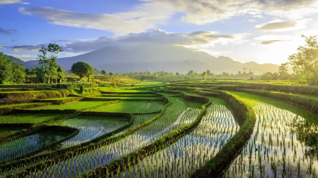 Destinasi Wisata Alam dan Budaya untuk Jiwa Petualang yang Mencintai Keaslian