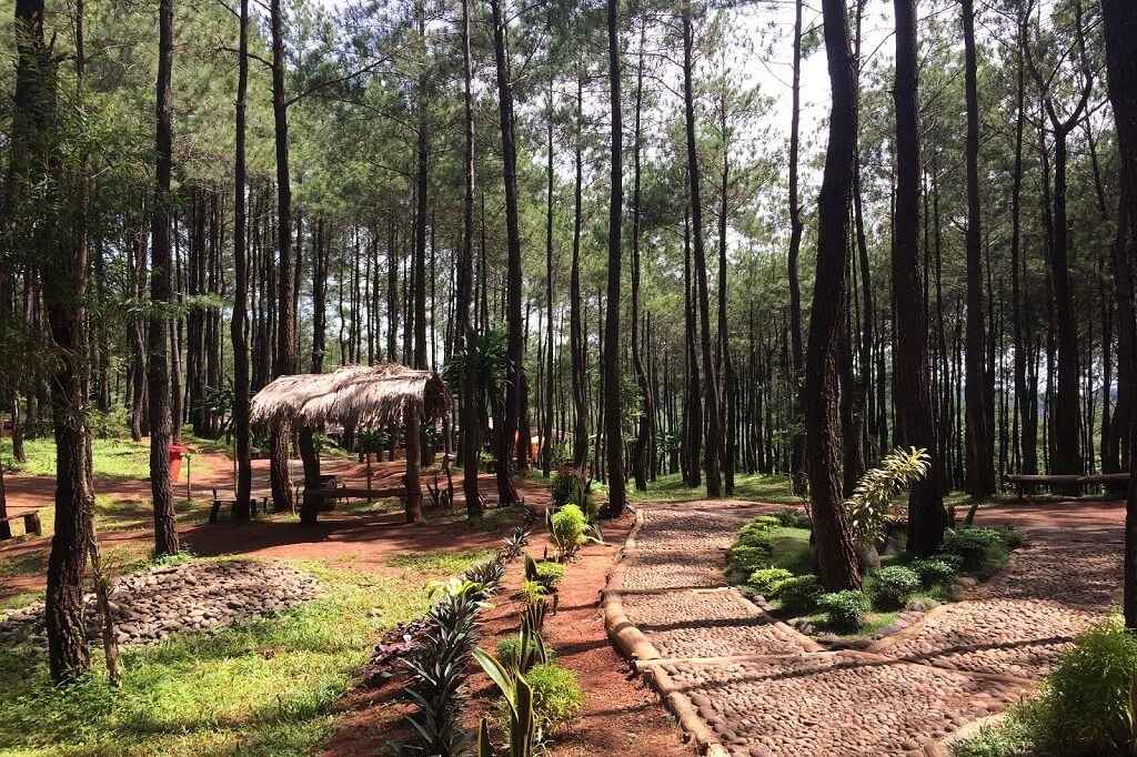 rekomendasi thegymlh, tips thegymlh, lokasi thegymlh, fasilitas thegymlh, program thegymlh